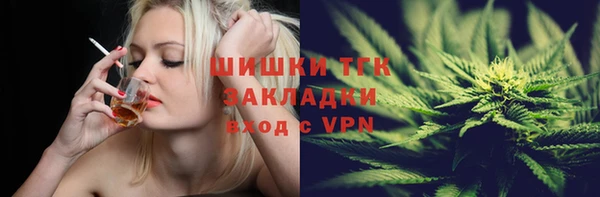 стаф Тутаев