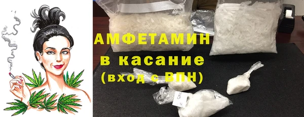 индика Туринск