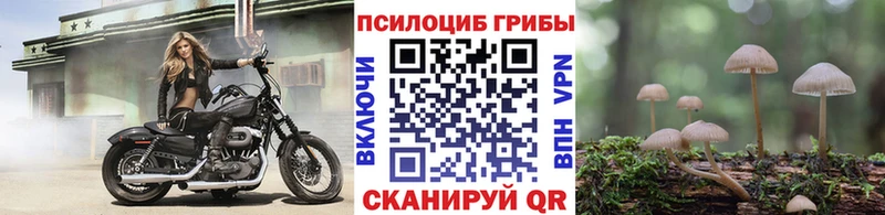 Псилоцибиновые грибы ЛСД  Тарко-Сале 